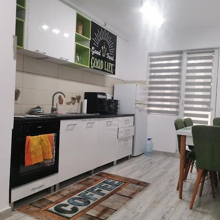 Casa Potcoava Apartment Targu-Mures Bagian luar foto